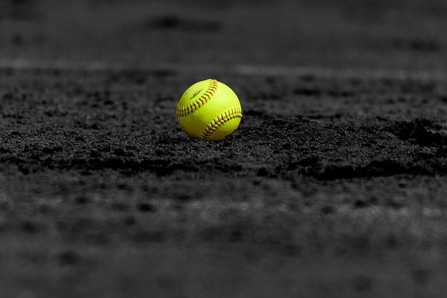 softball positions dichotomous key